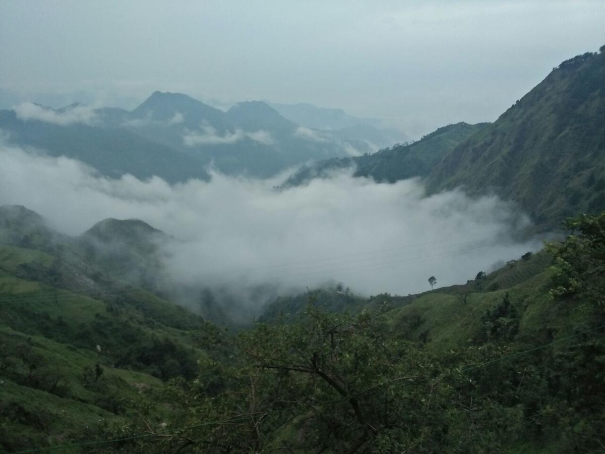 Oyo 11877 Royal Residency Hotell New Tehri Rom bilde